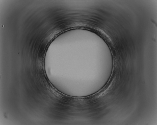 X0000094910929200711290957