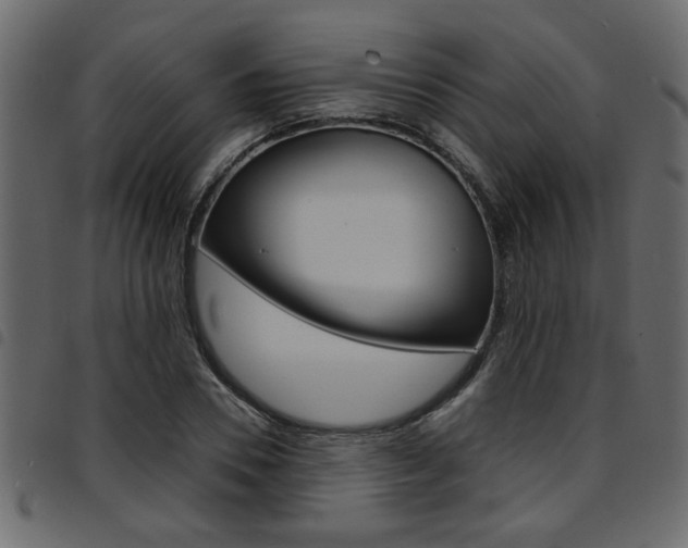 X0000094910930200711290957