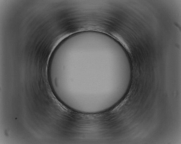 X0000094910932200711290957