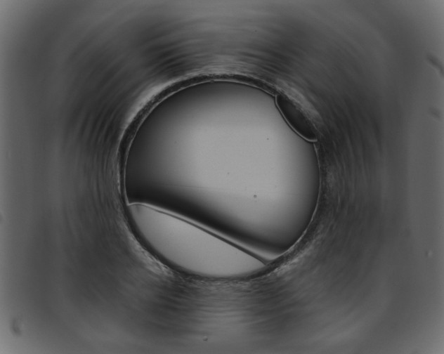X0000094910934200711290957
