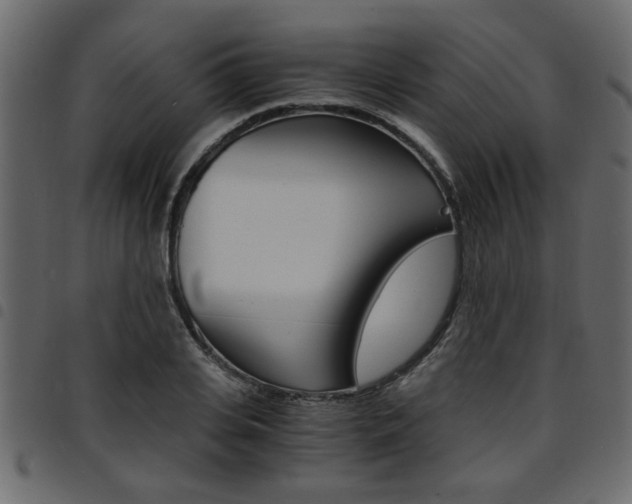 X0000094910935200711290957