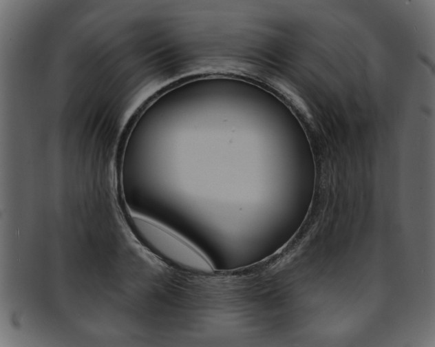 X0000094910936200711290957