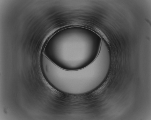 X0000094910939200711290957