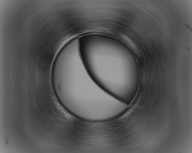 X0000094910940200711290957