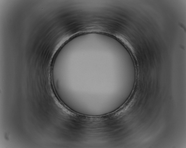 X0000094910941200711290957