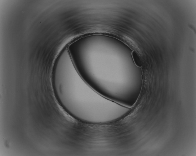 X0000094910942200711290957