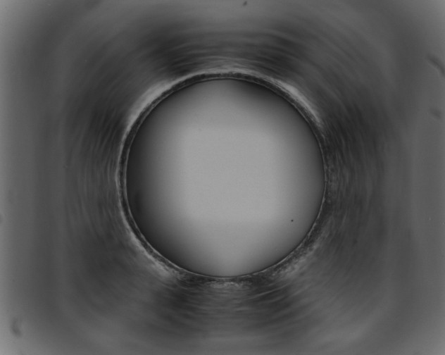 X0000094910943200711290957