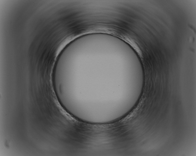 X0000094910944200711290957