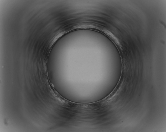X0000094910945200711290957