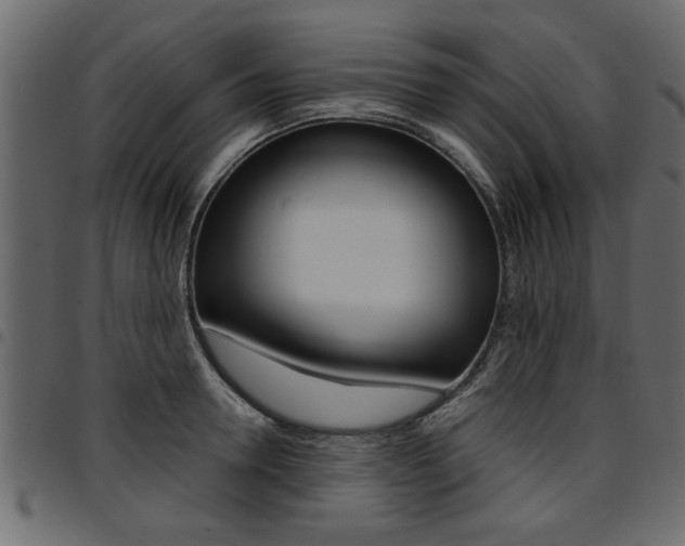 X0000094910946200711290957