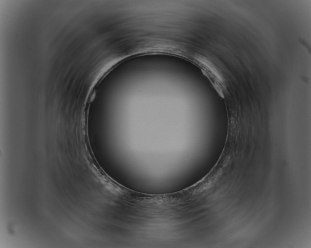 X0000094910948200711290957