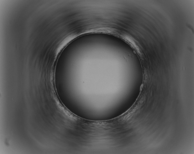 X0000094910952200711290957