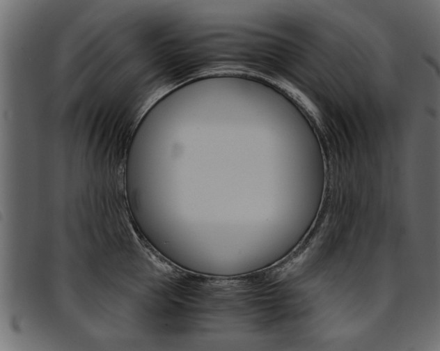 X0000094910953200711290957
