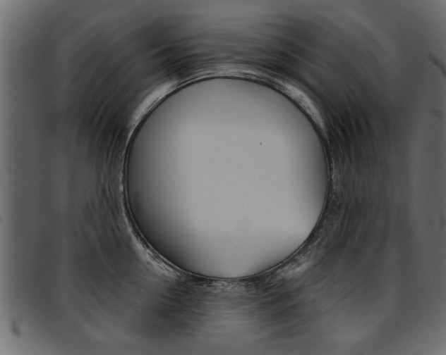 X0000094910954200711290957