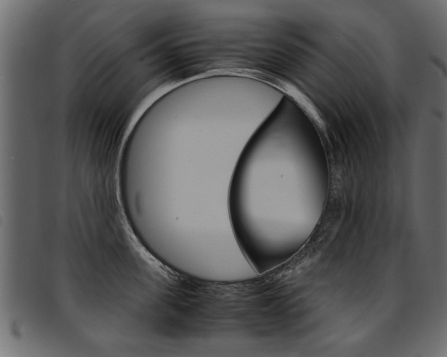 X0000094910955200711290957