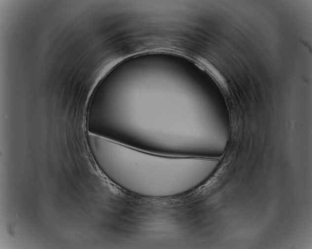 X0000094910956200711290957