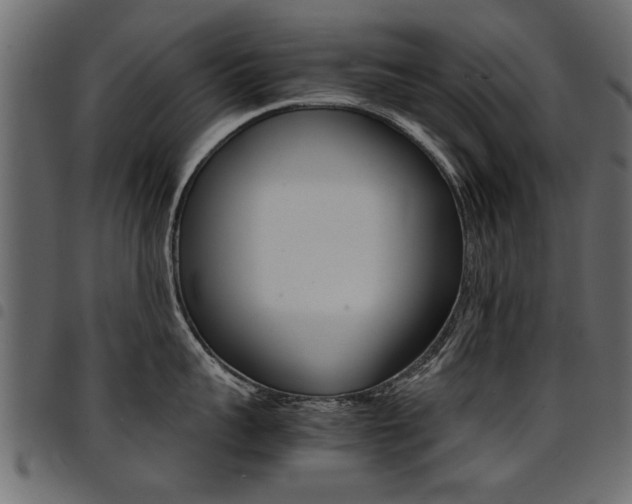 X0000094910959200711290957