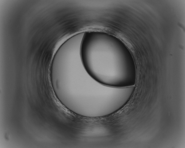X0000094910960200711290957