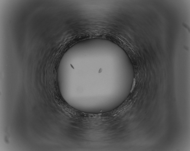 X0000094910961200711290956