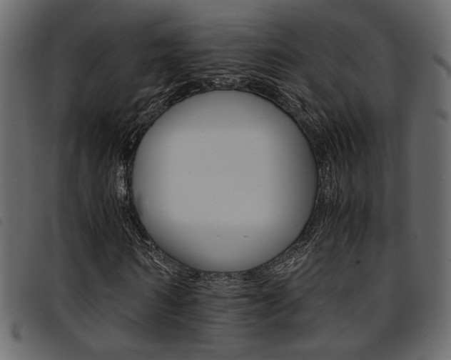 X0000094910962200711290956
