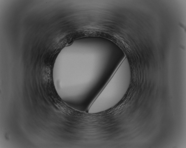 X0000094910964200711290956
