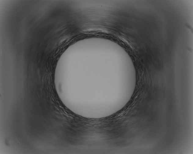 X0000094910965200711290956
