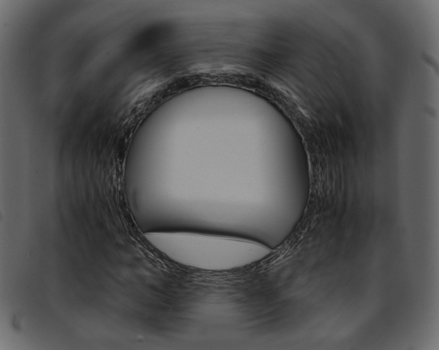X0000094910966200711290956