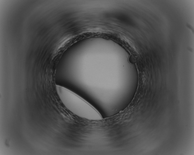 X0000094910968200711290956