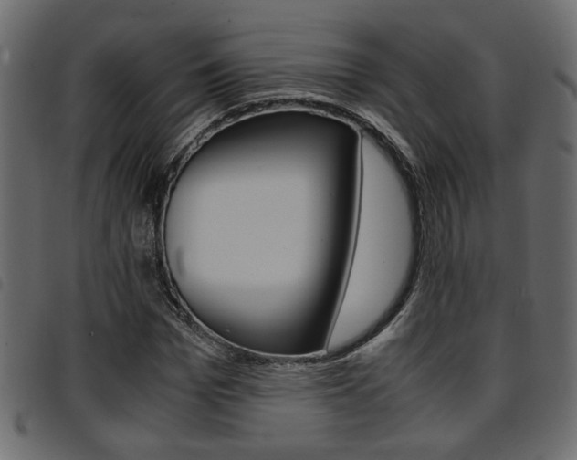 X0000094910969200711290956