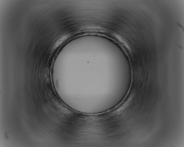 X0000094910970200711290956