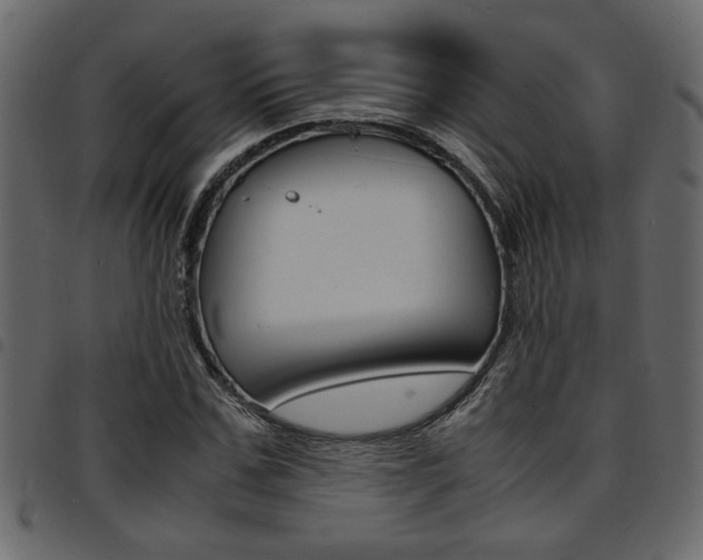 X0000094910971200711290956