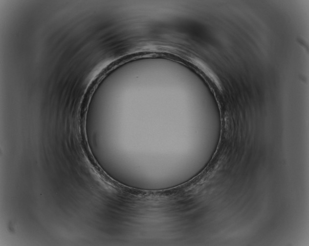 X0000094910972200711290956