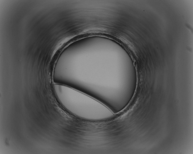 X0000094910973200711290956
