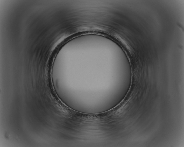 X0000094910975200711290956