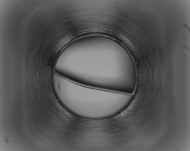X0000094910977200711290956