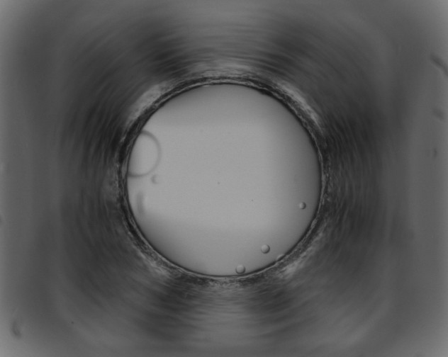 X0000094910978200711290956