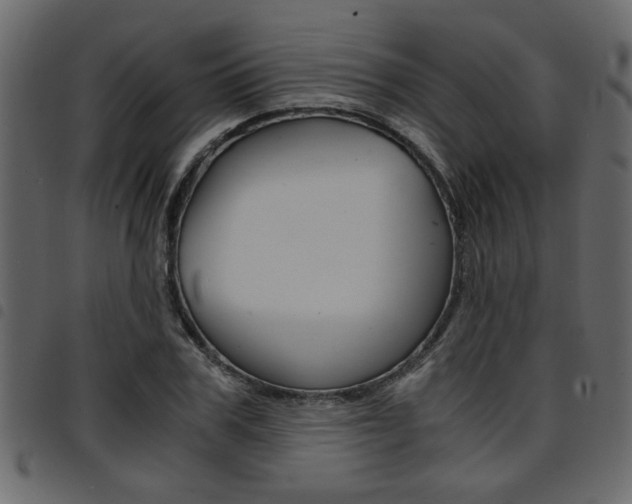 X0000094910979200711290956