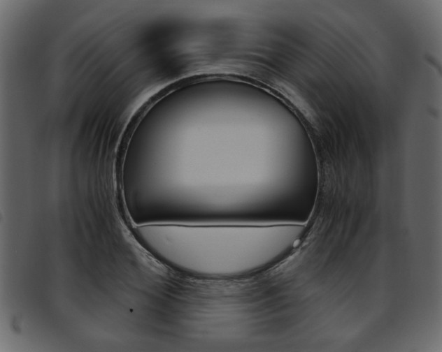 X0000094910980200711290956