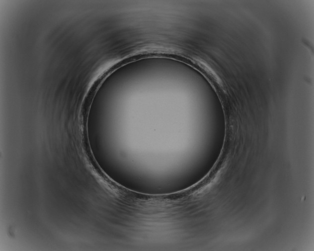 X0000094910981200711290956