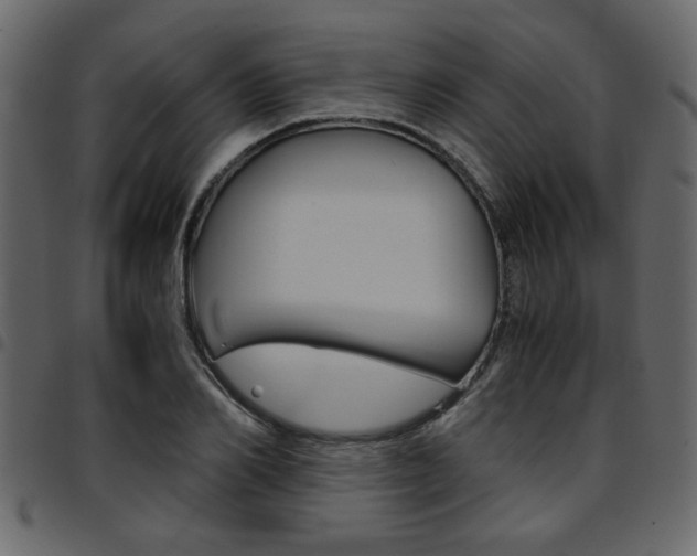 X0000094910982200711290956