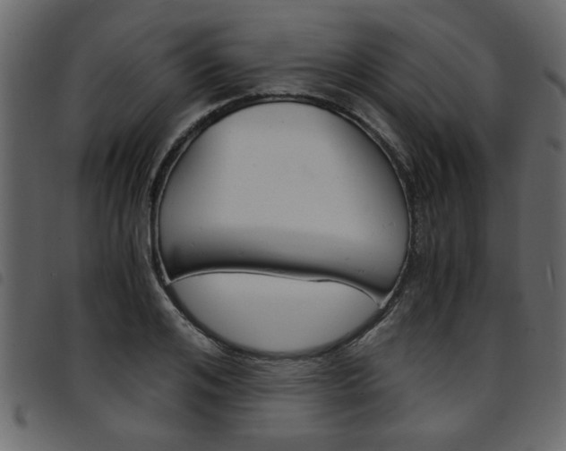 X0000094910984200711290956