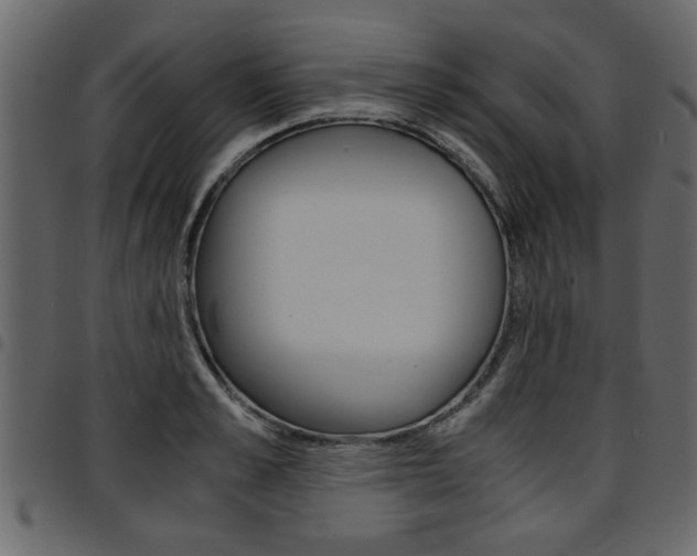 X0000094910989200711290956