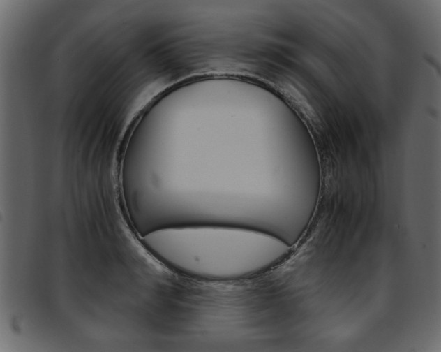 X0000094910990200711290956