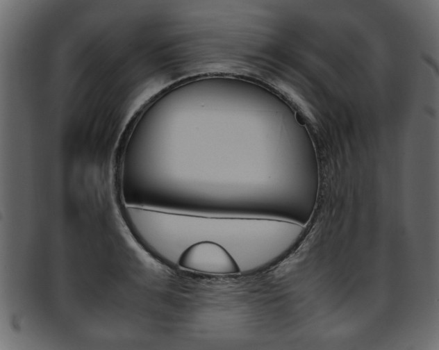 X0000094910991200711290956