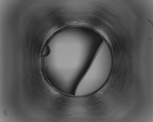 X0000094910992200711290956