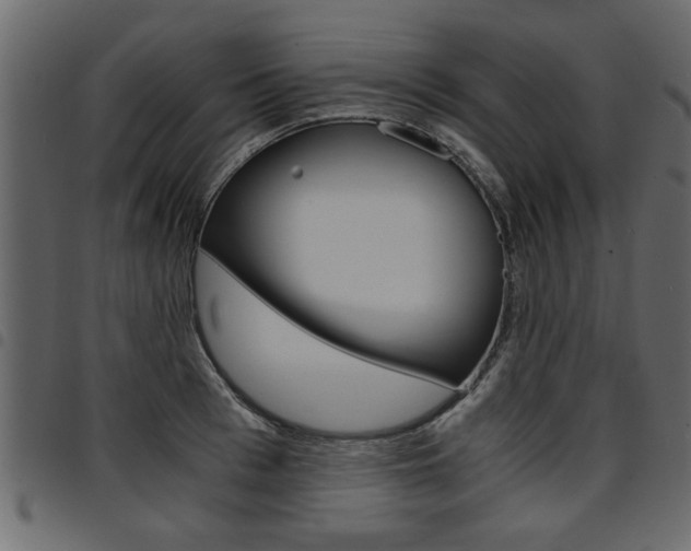 X0000094910993200711290956