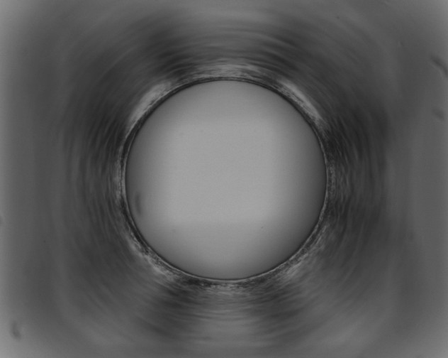 X0000094910994200711290956