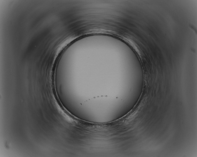 X0000094910995200711290956
