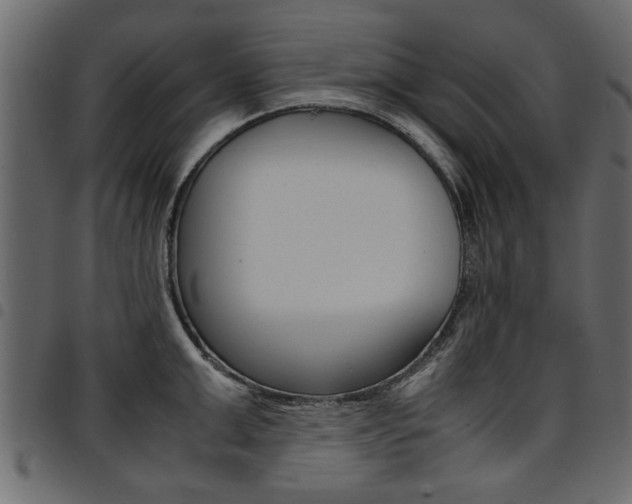 X0000094910999200711290956