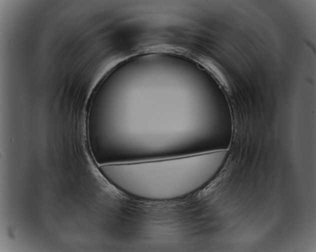 X0000094911000200711290956